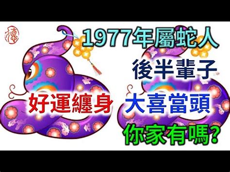 1977年屬什麼生肖|生肖蛇: 性格，愛情，2024運勢，生肖1989，2001，2013